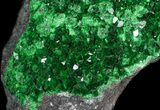 Spectacular Green Uvarovite (Garnet Group) - Russia #62864-1